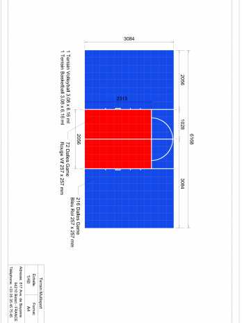 TERRAIN MULTISPORT BASKETBALL ET VOLLEYBALL 3M X 6M | COULEUR(S) AU CHOIX